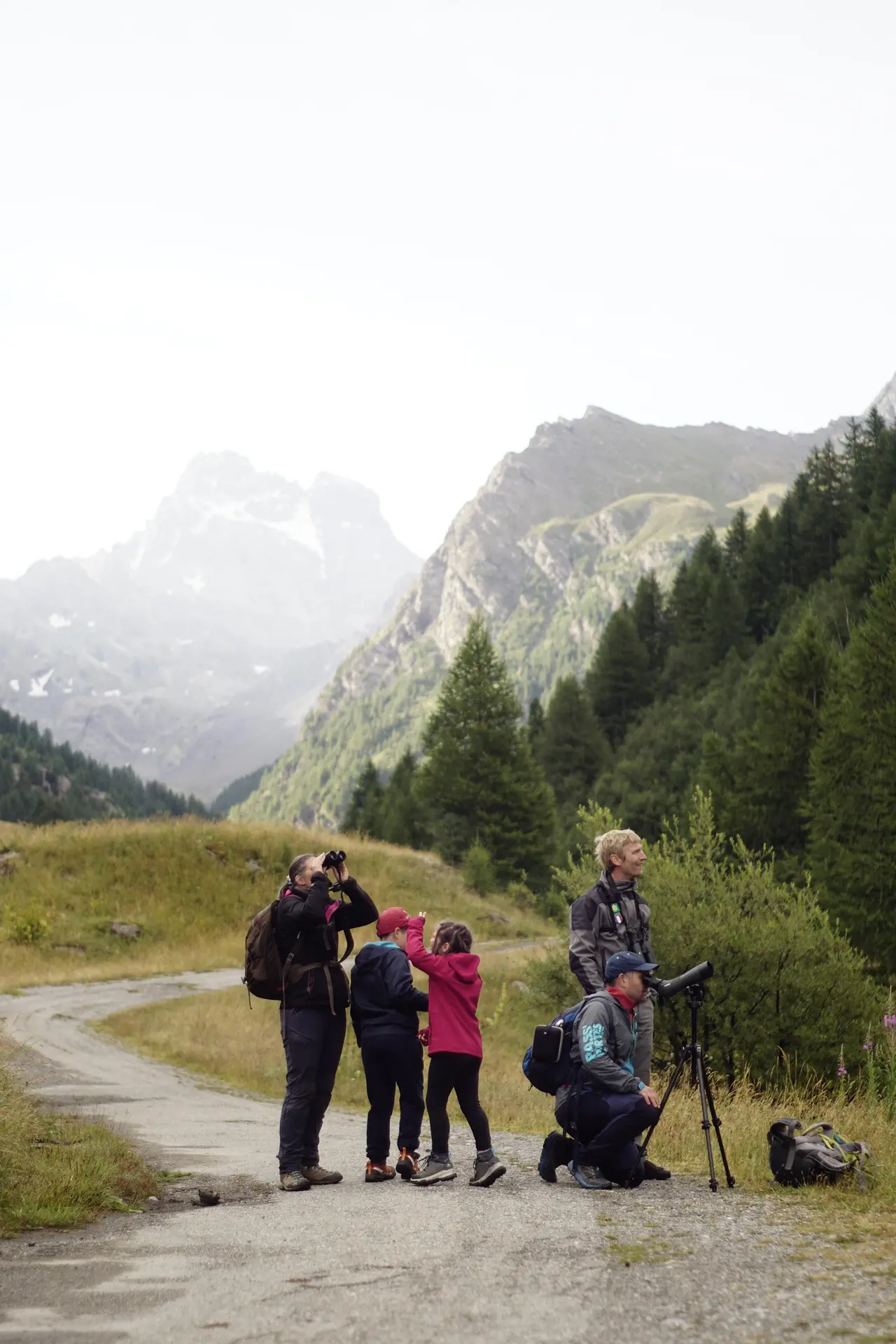 La Réserve de Ristolas - Mont Viso au petit jour