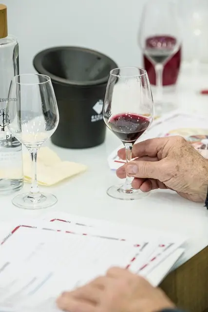 Atelier École des Vins - Initiation à la dégustation - Vallée du Rhône