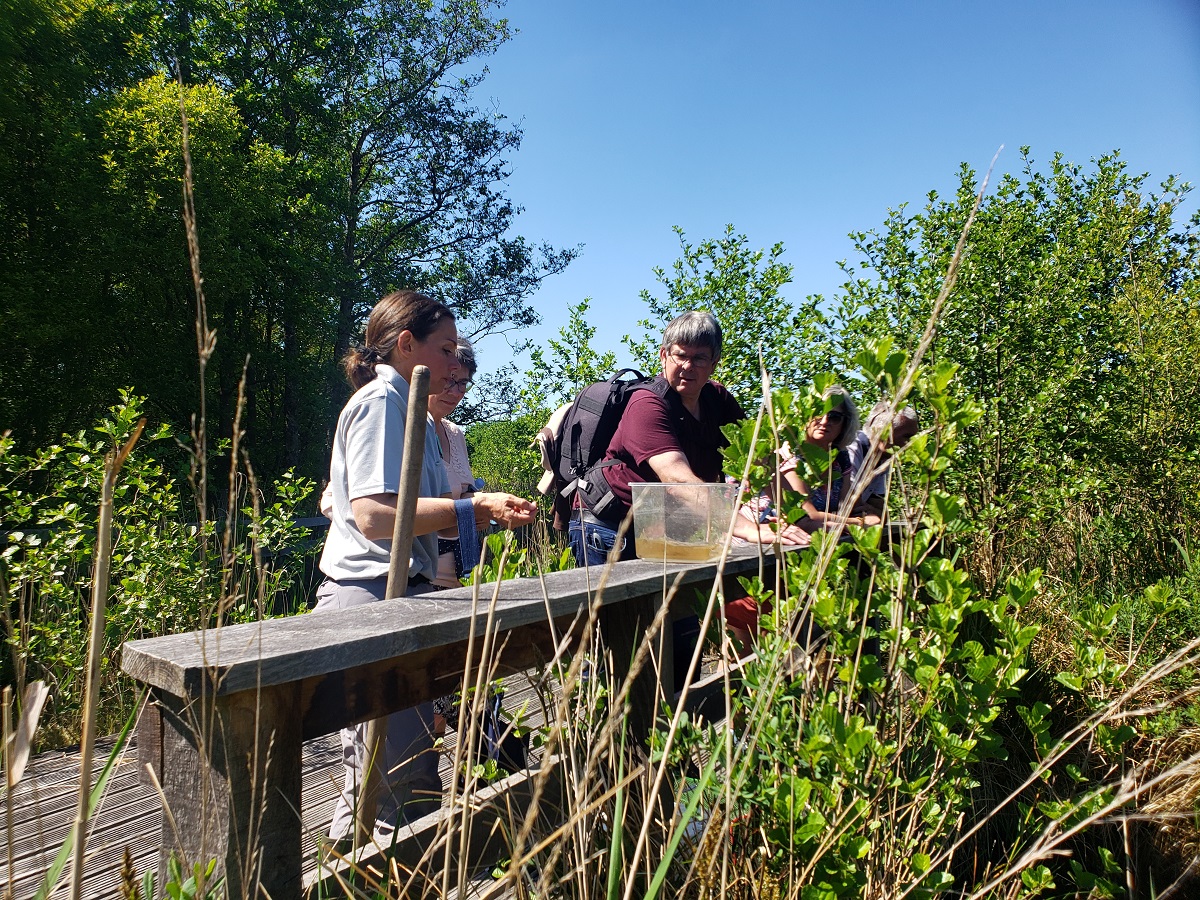 Découverte de la réserve naturelle de Mathon