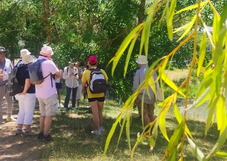 LES JEUDIS NATURE ET DÉCOUVERTES