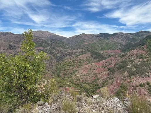Faune et flore de la vallée de la Roudoule