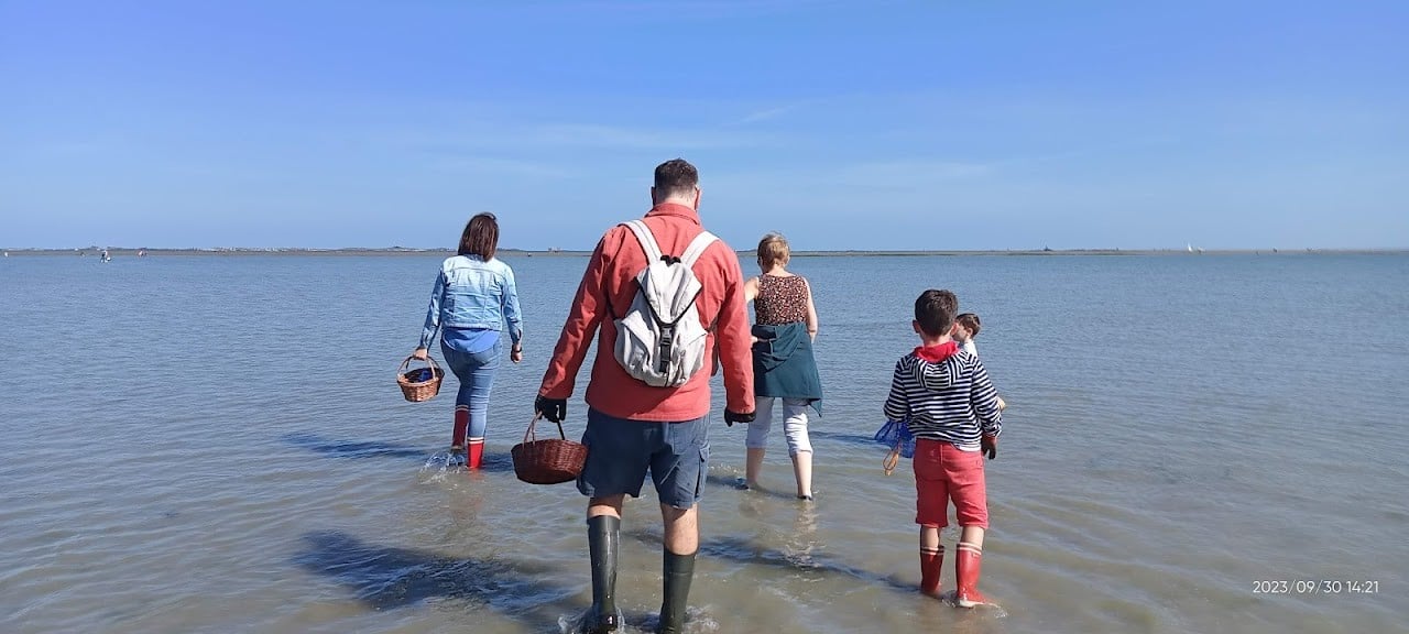 Venez découvrir la pêche à pied avec Monsieur Jean !
