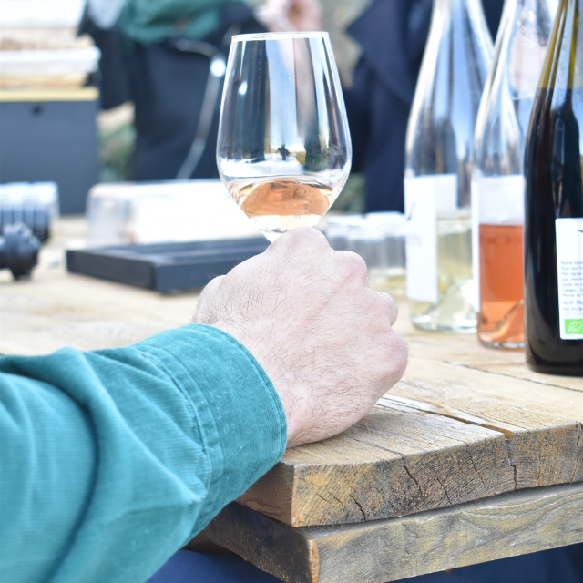 Wine gaming au Domaine viticole de l'Anchois