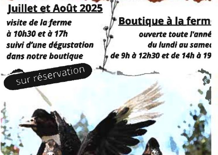 Visite à la ferme et dégustation