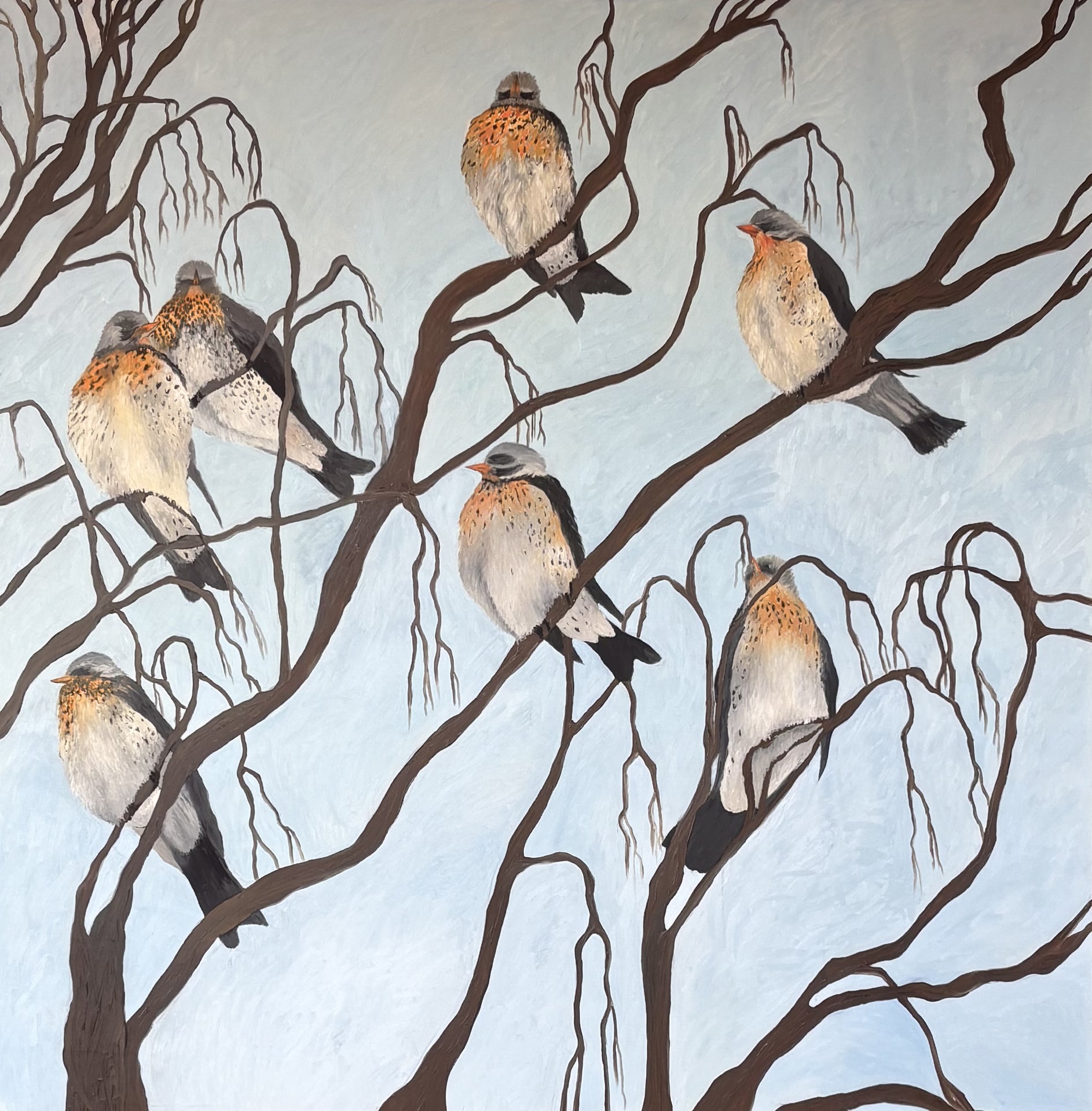 Exposition temporaire "Animal ! Dans le secret de la nature"