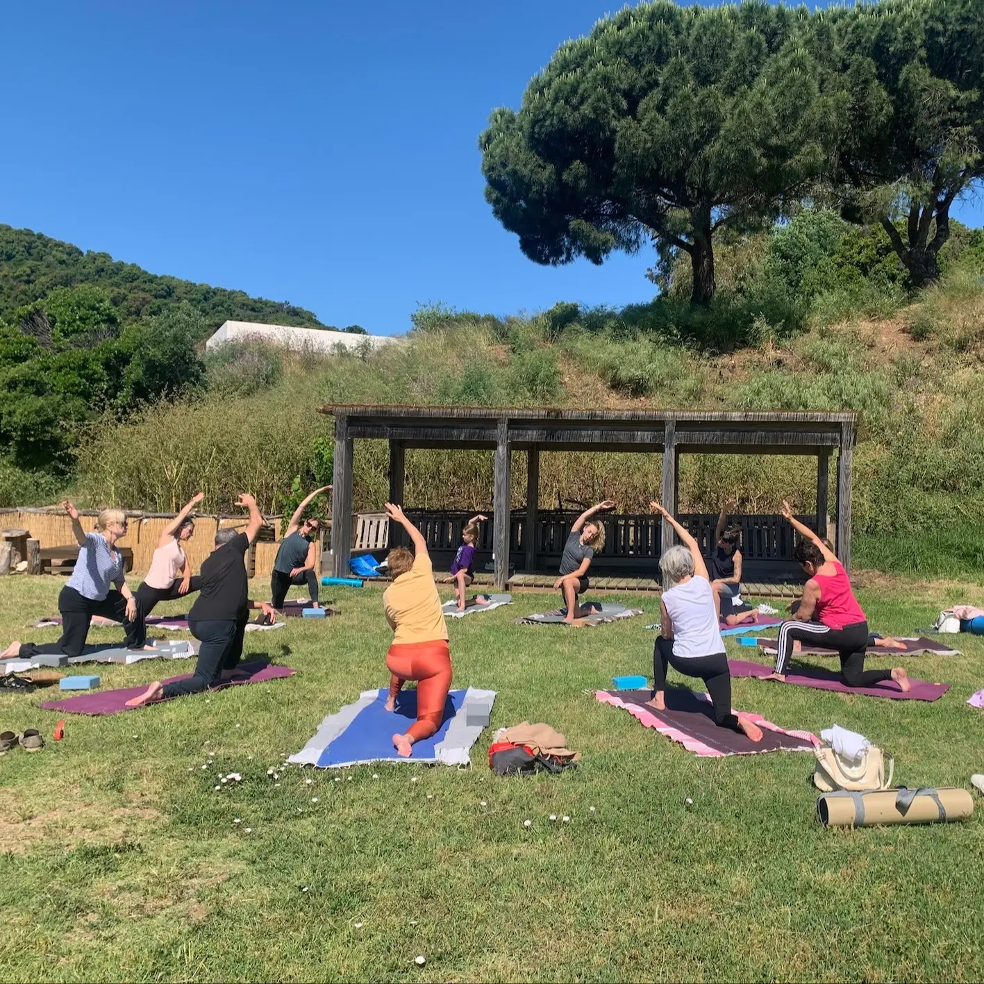 Yoga sous l'Eucalyptus + Brunch