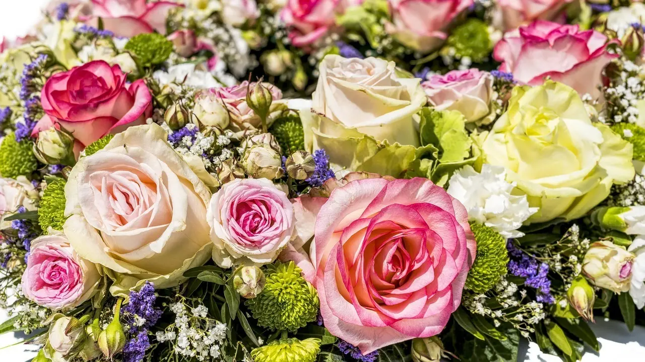 Chasse aux bouquets à travers les musées de la ville  #JEP2026