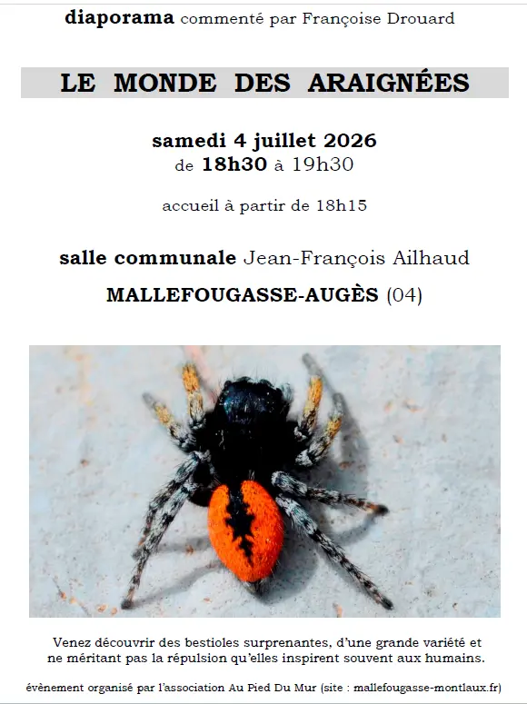 Projection "Le monde des araignées"