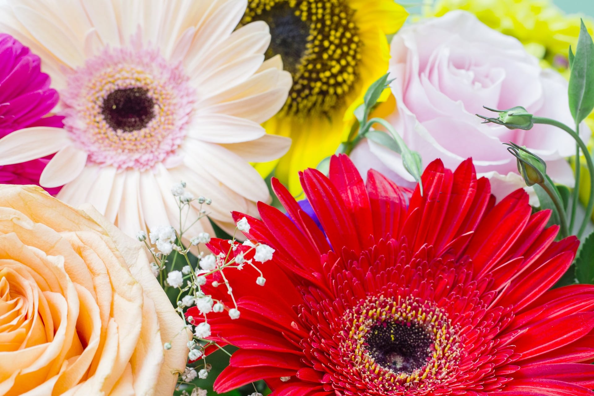 L'été de l'Office : Atelier création de bouquet de fleurs fraîches de saison