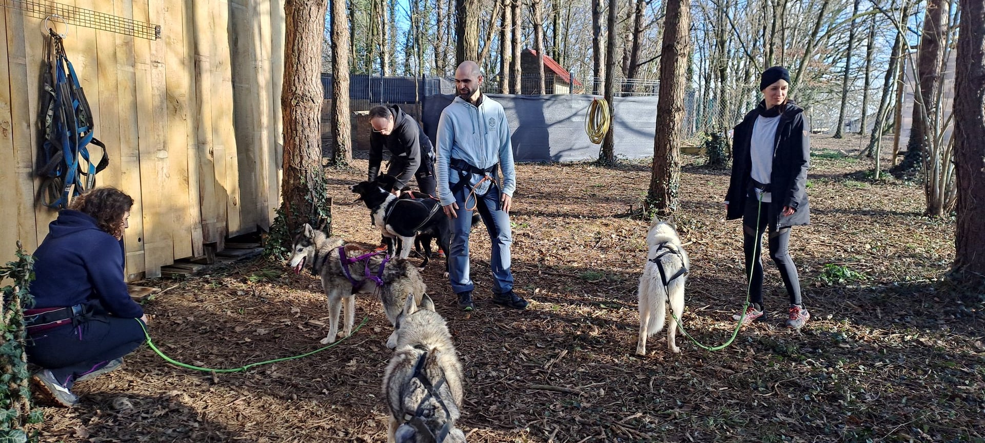 Été Actif : cani-rando