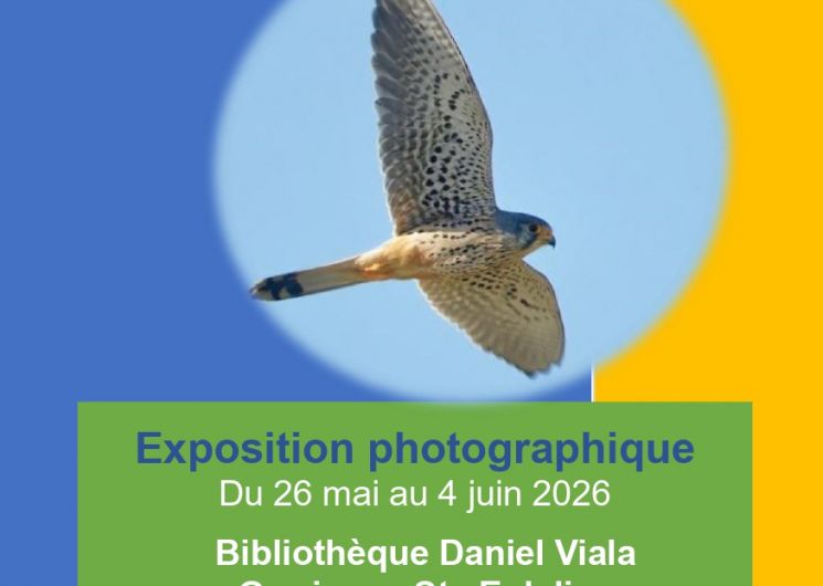 Exposition photos – Vols au-dessus de Garrigues-Ste-Eulalie
