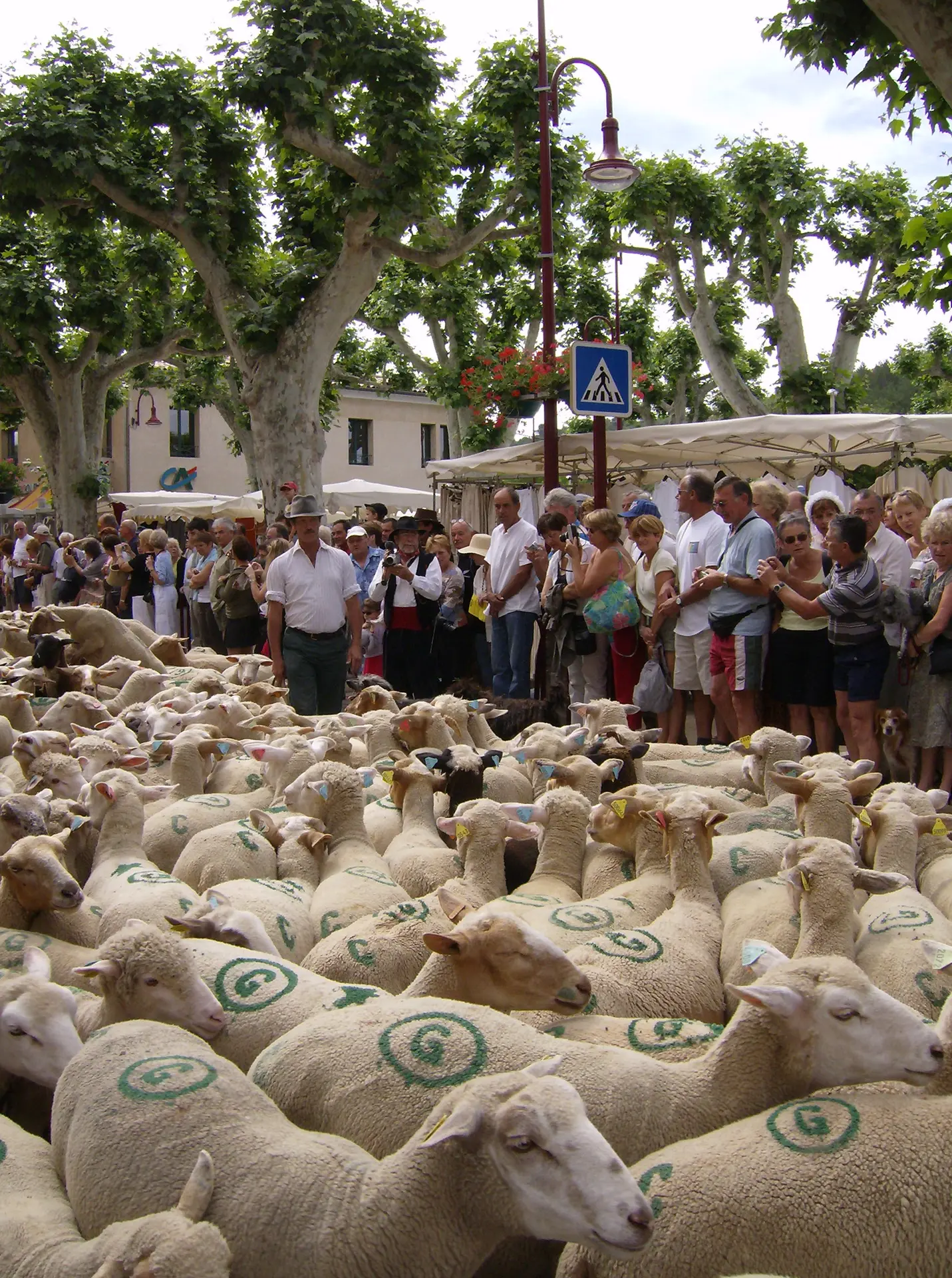 Fête de la Transhumance