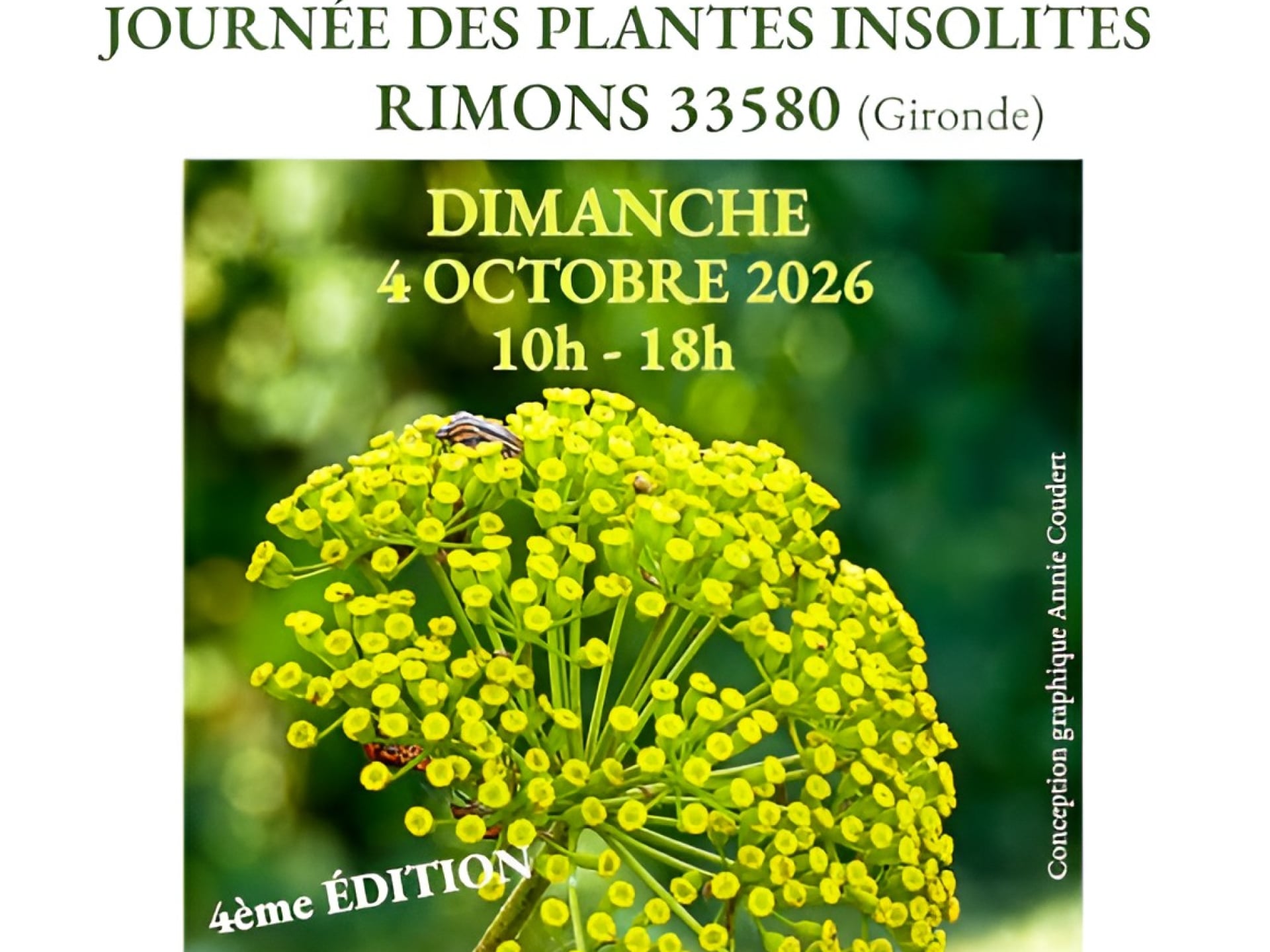 Journée des plantes insolites 4e édition