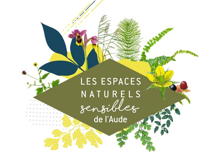 ENS – INSECTES NOCTURNES ET ASTRONOMIE À SAINTE LUCIE