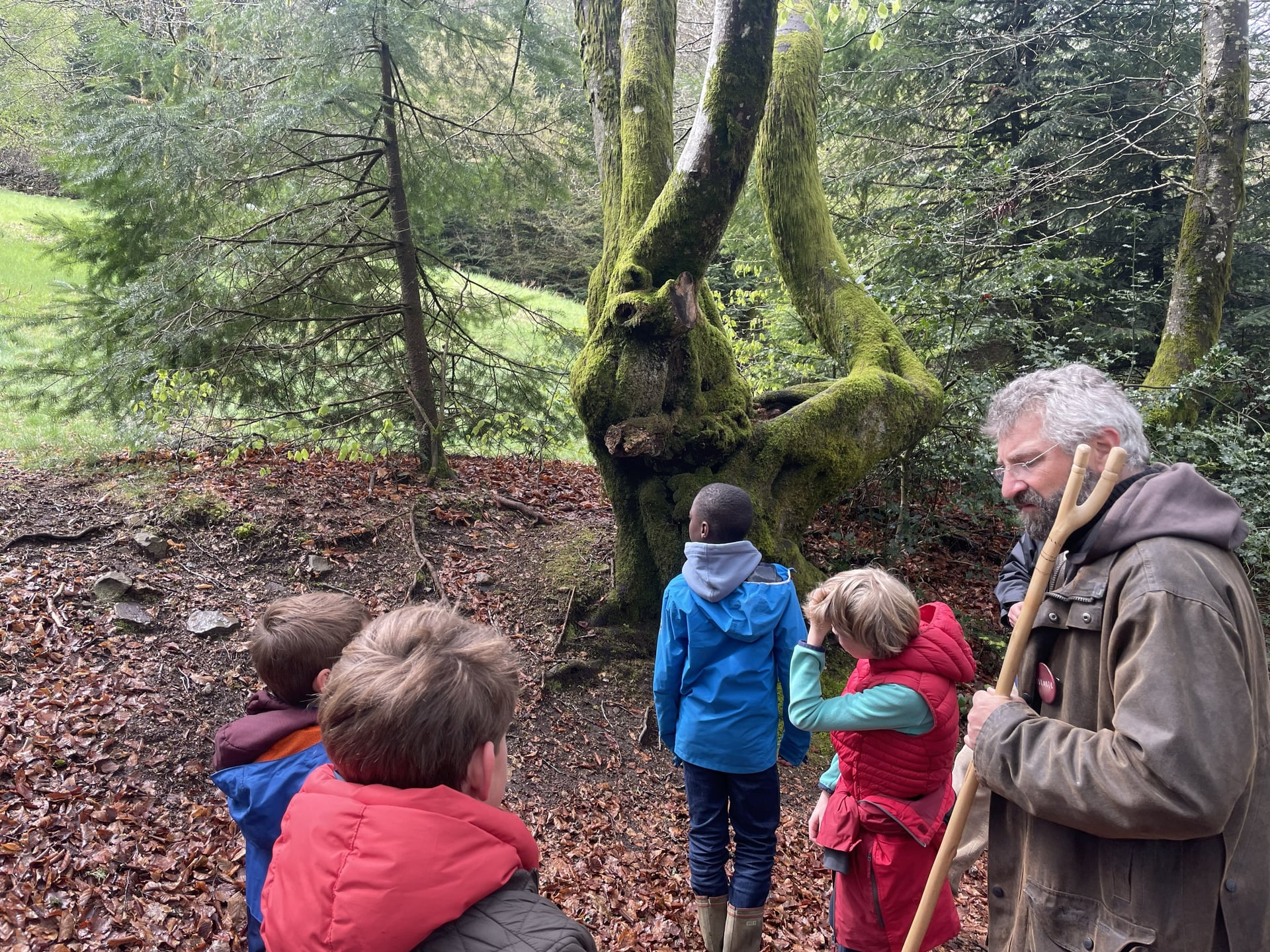 A l'assaut du Moussu ! Visite de la forêt du Beuvray réservée aux enfants.