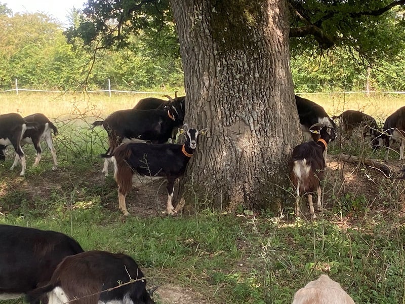 Contes à la Ferme de la Piloterie