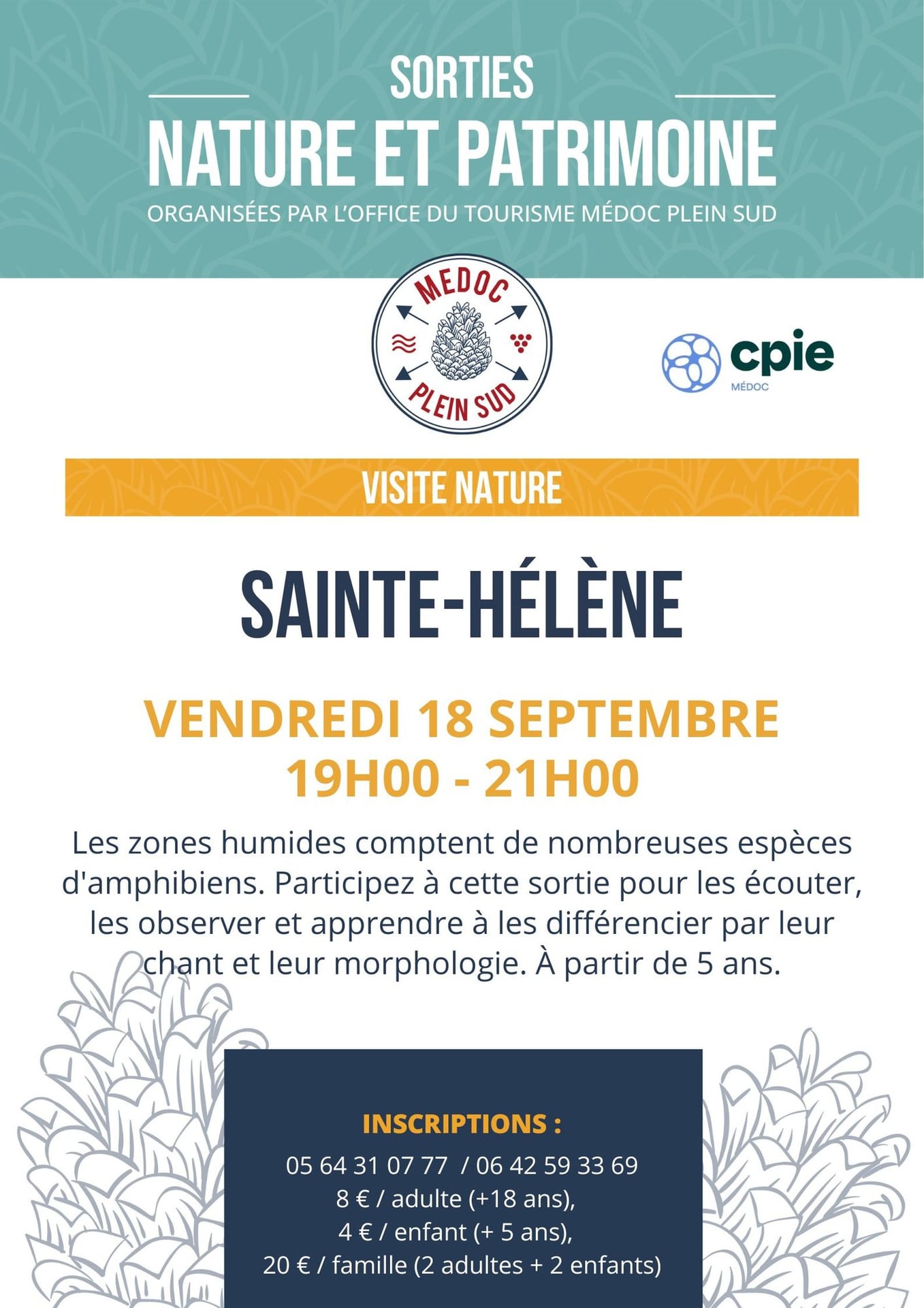 Sortie nature. Visite nature  « Un dragon !  Dans mon jardin ? »