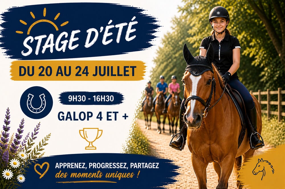 Stage d'équitation - Galop 4 et +