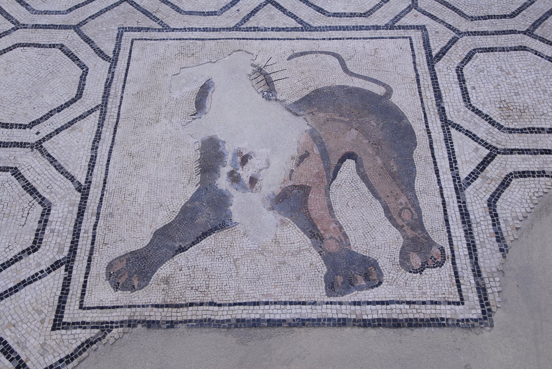 Augustoritum : Sur les pas de la ville antique - Visite Guidée