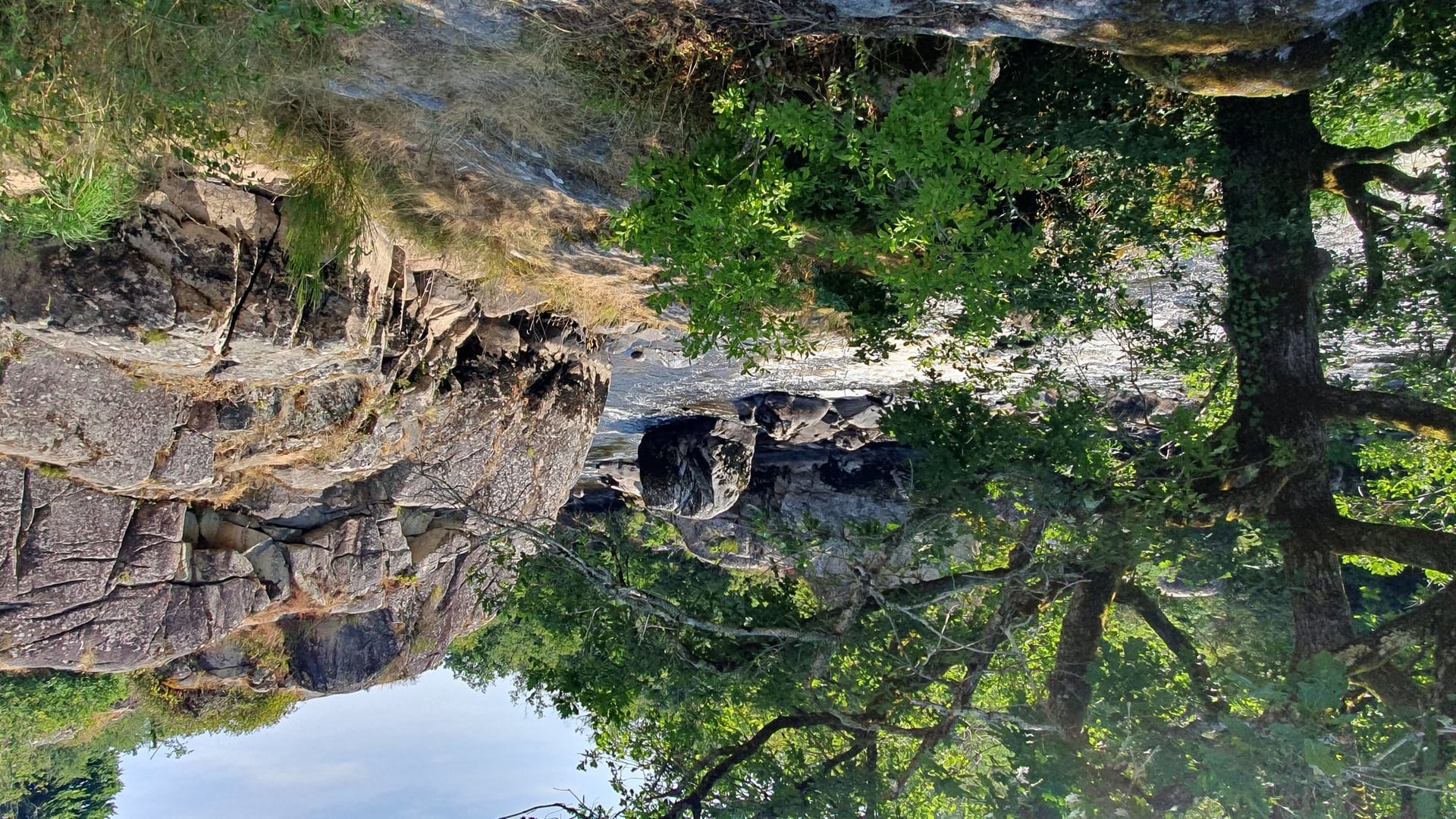Sortie nature au Roc d'Enfer