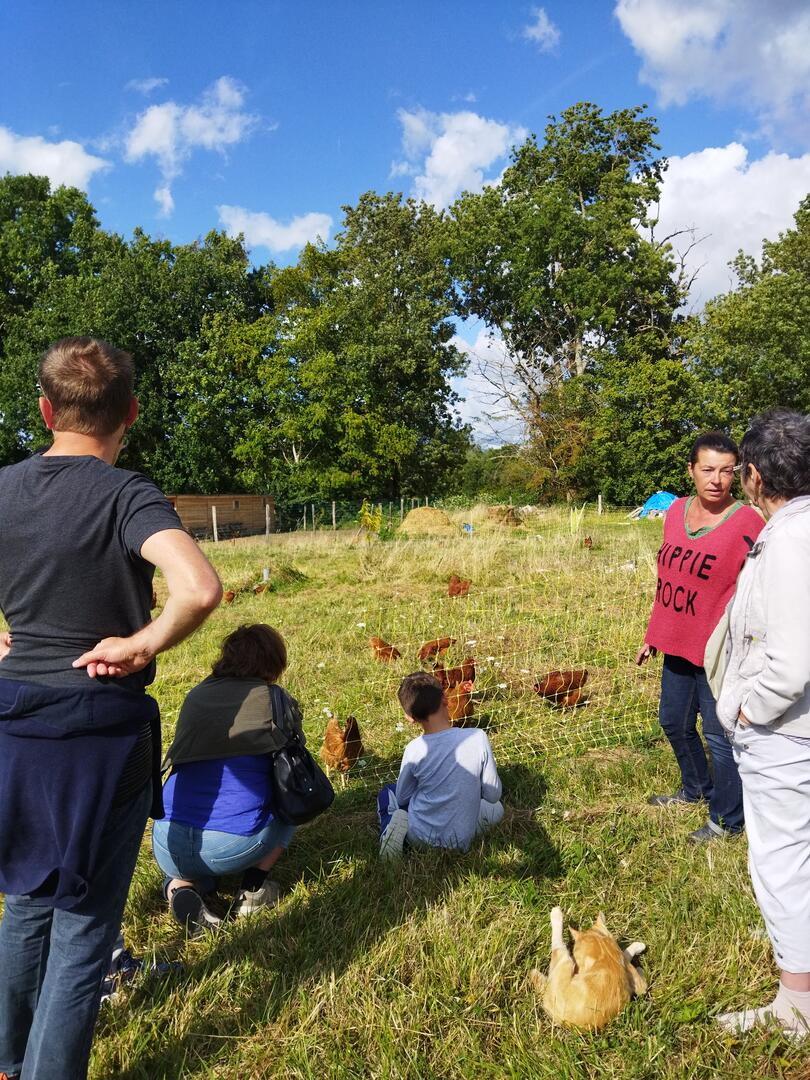 Accueil à la Ferme : Moulin à Huile de Noix , Potager et poules pondeuses dans le Ribéracois