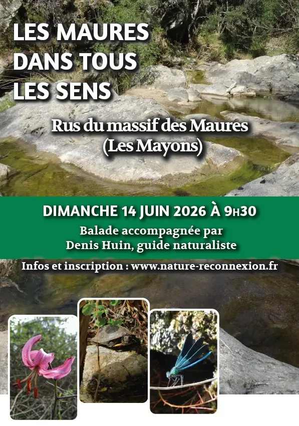 Balade accompagnée "Les Maures dans tous les sens"