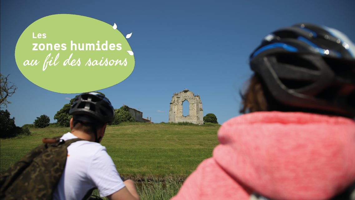 Les zones humides au fil des saisons : découverte à vélo de l'histoire et de la biodiversité