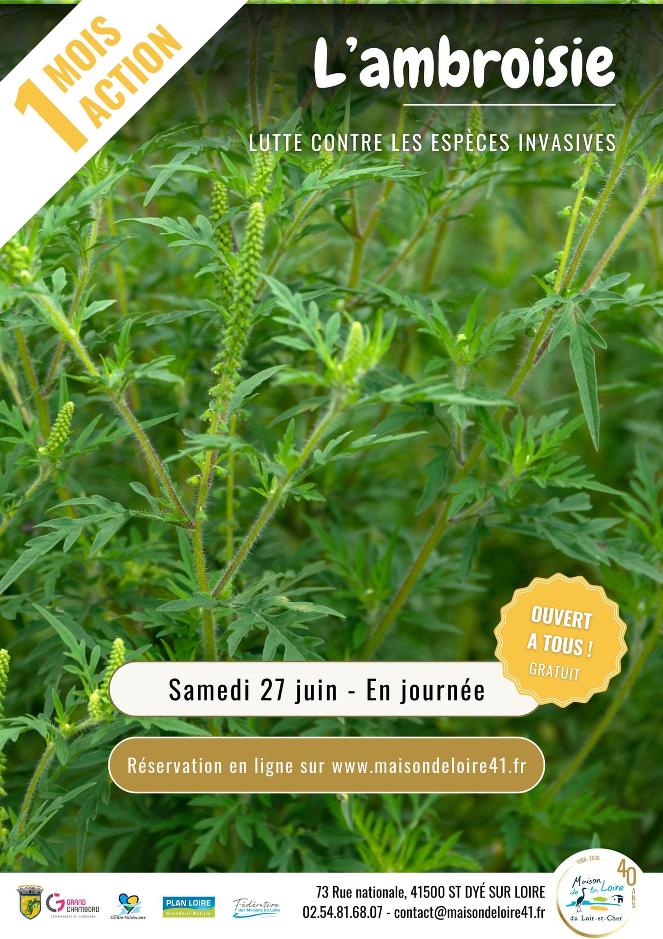 Juin Un Mois Une Action Lutte contre les espèces invasives - Ambroisie avec la Maison de la Loire