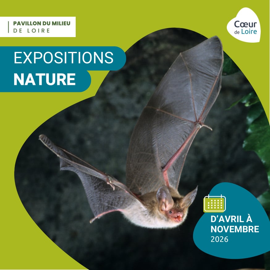 Exposition "ARBRES, une exploration vivante"