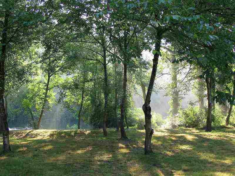 Conférence "Les recherches archéologiques LiDAR en forêts de Chantilly et Pontarmé"