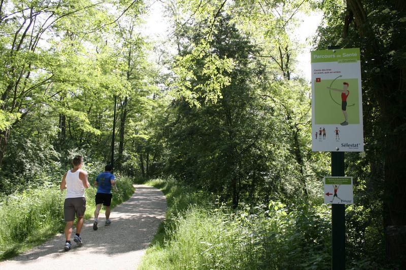 Concours international d'attelage