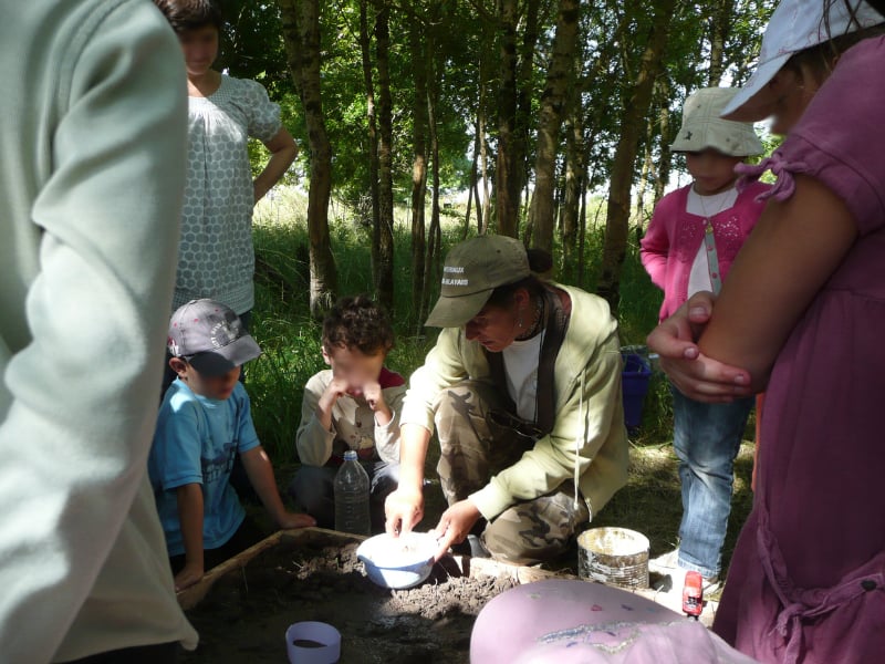 Sur les traces des Animaux à Terres d'Oiseaux
