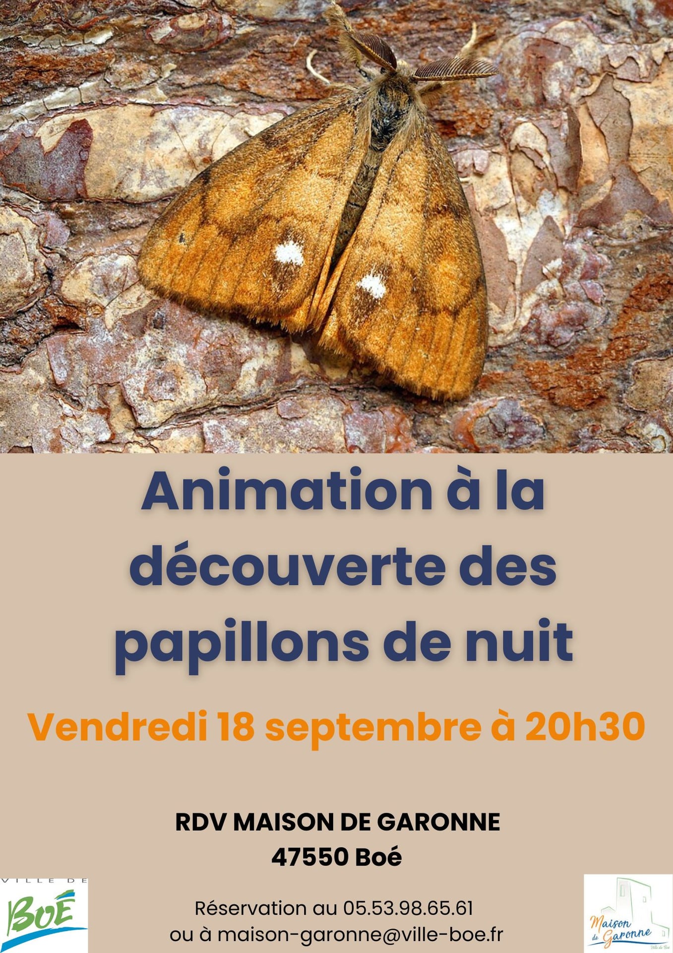 Maison de Garonne : Animation découverte des papillons de nuit – tout public