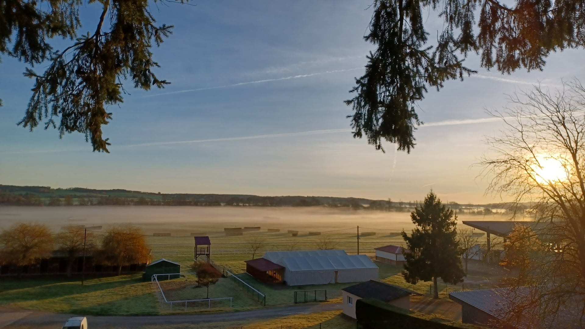 Courses Hippiques Plat/Obstacle