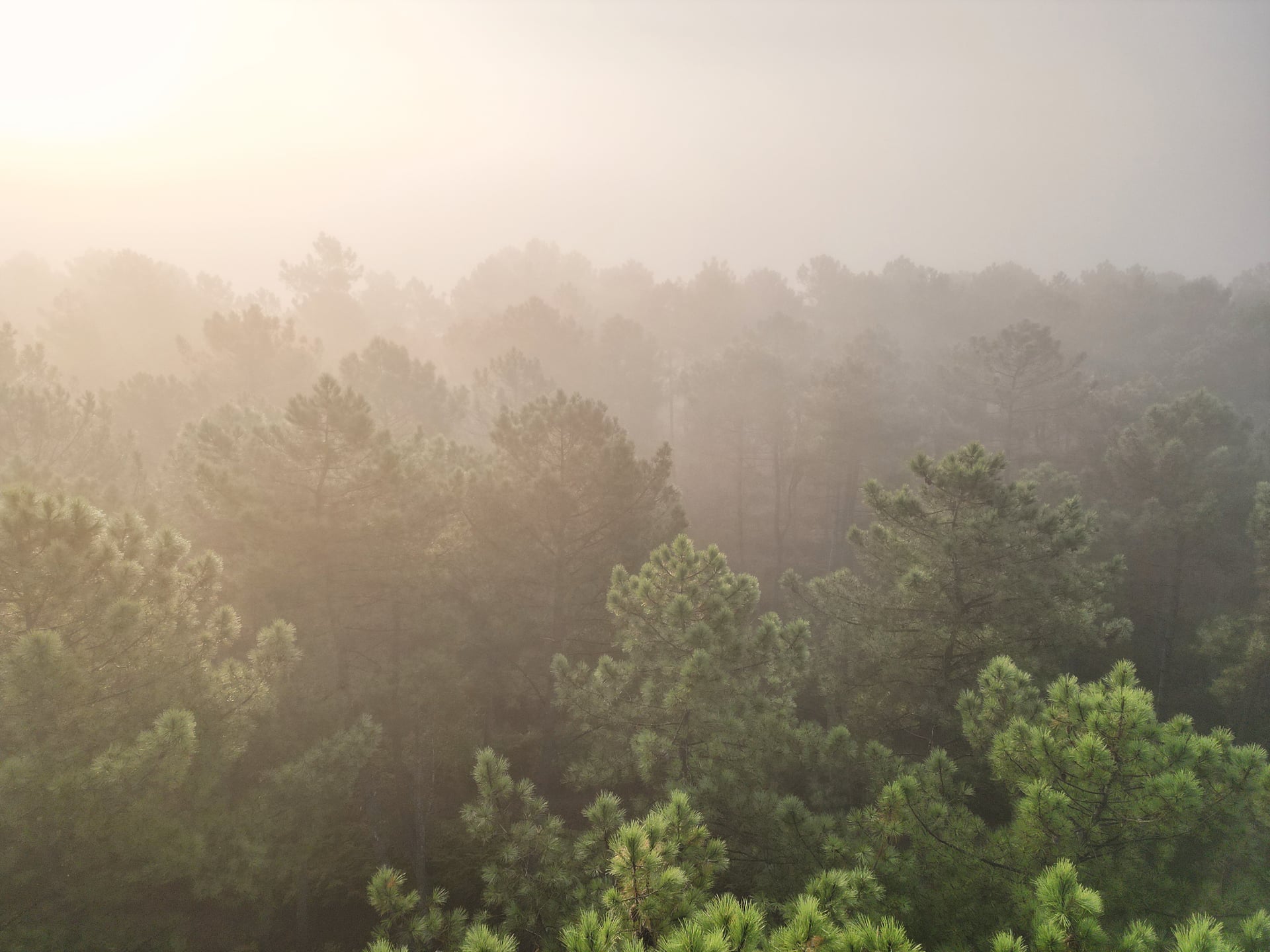Rencontre et sensibilisation avec la DFCI