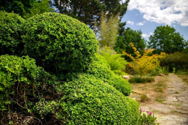 Visite des Jardins de La Bruyère