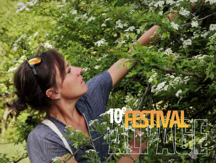 Festival de l'Alpage : Sortie ethnobotanique à la découverte de la forêt de Bois Vert
