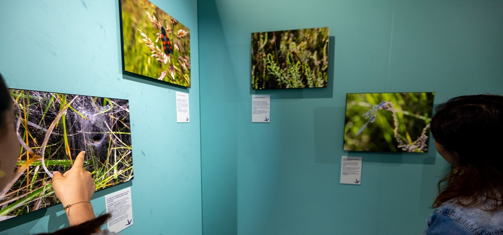 Exposition photo "Arjuzanx, d'une mine de lignite à une réserve naturelle nationale"