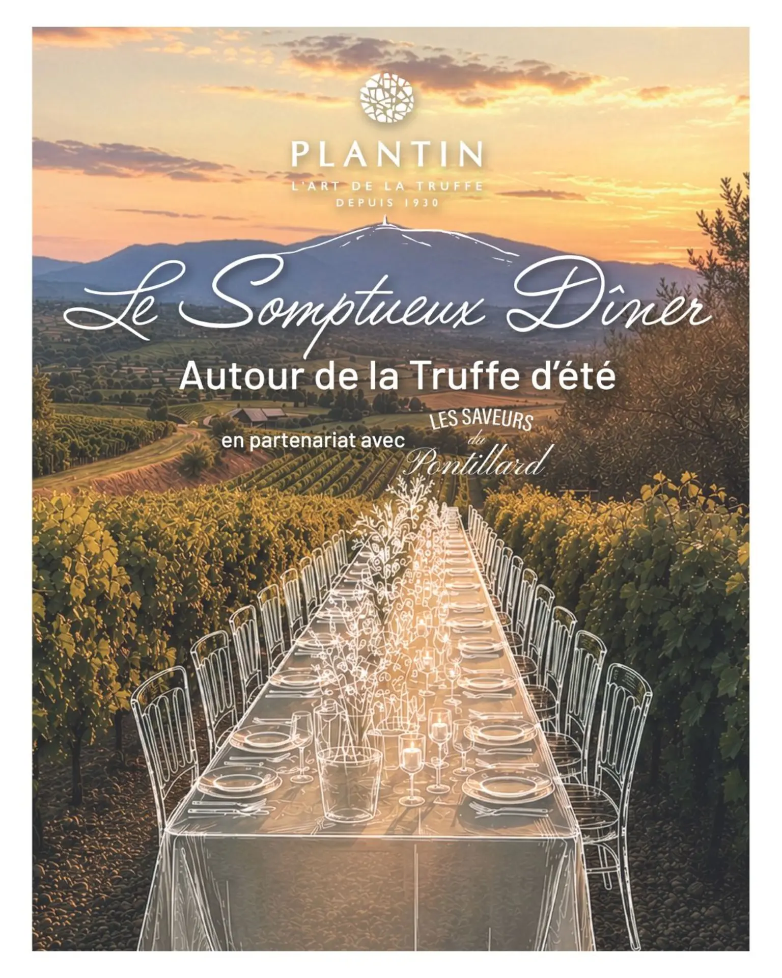 Le somptueux diner autour de la truffe d'été - Plantin