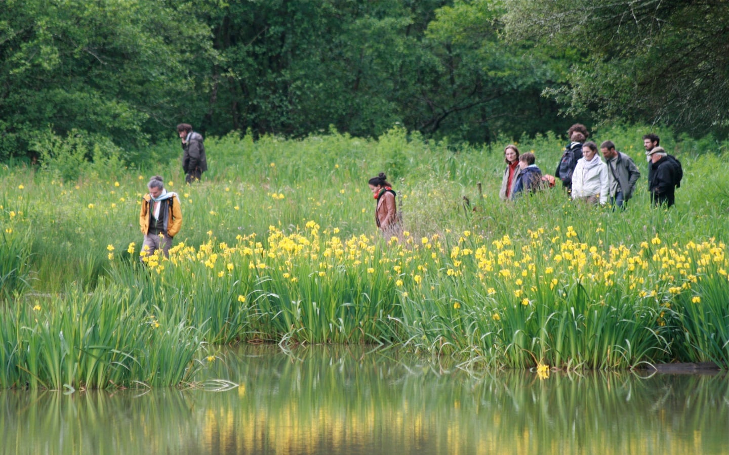 Balade découverte des réserves : l'étang de Chourroumillas