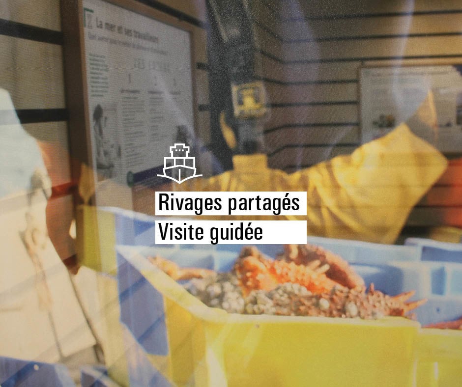 Visite guidée de l’exposition Rivages partagés