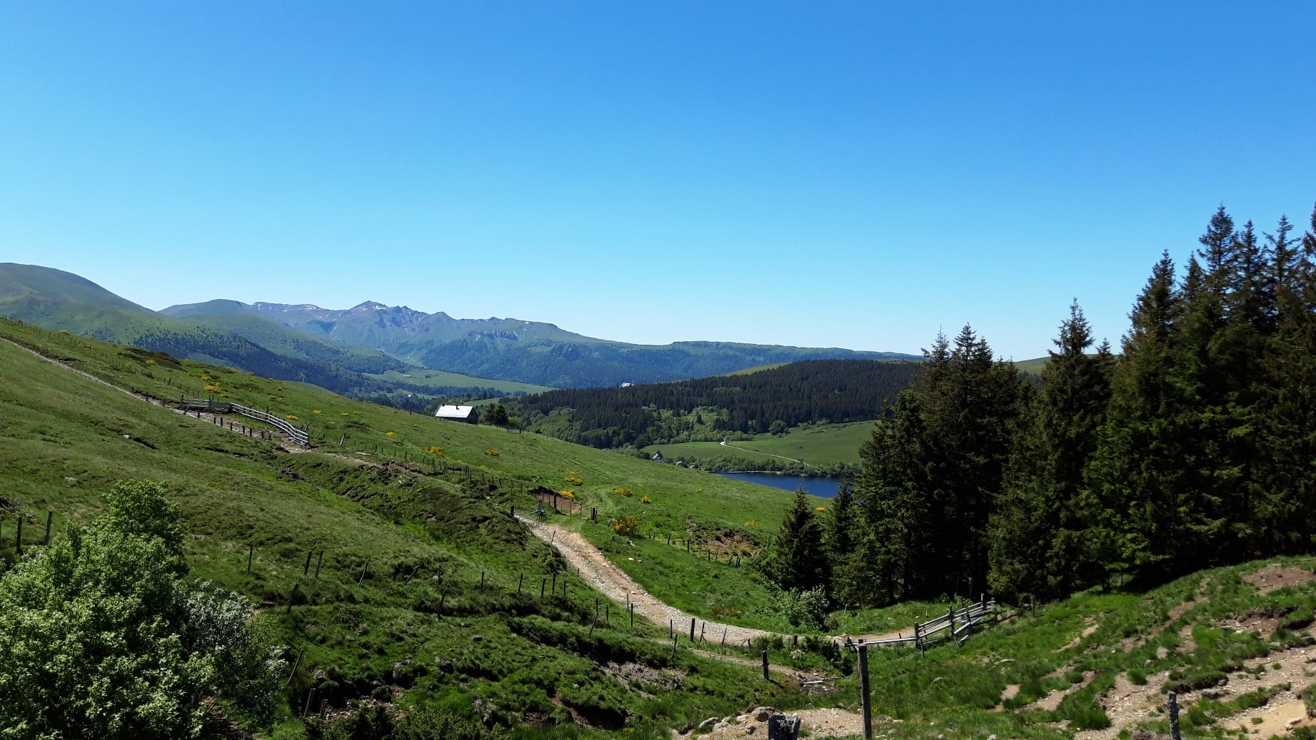 Élevage montagnard et prairies fleuries : ce que les plantes nous racontent