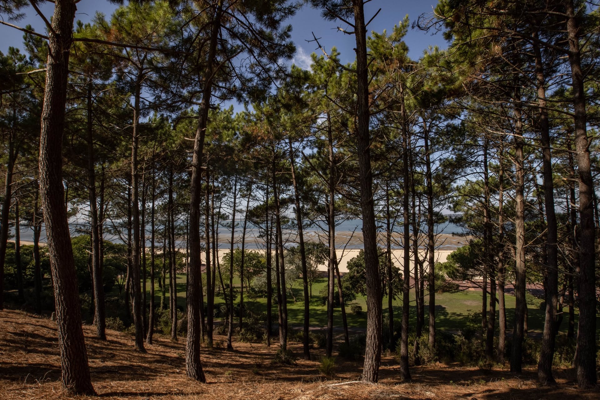 Visite du quartier de la SICA aux Abatilles