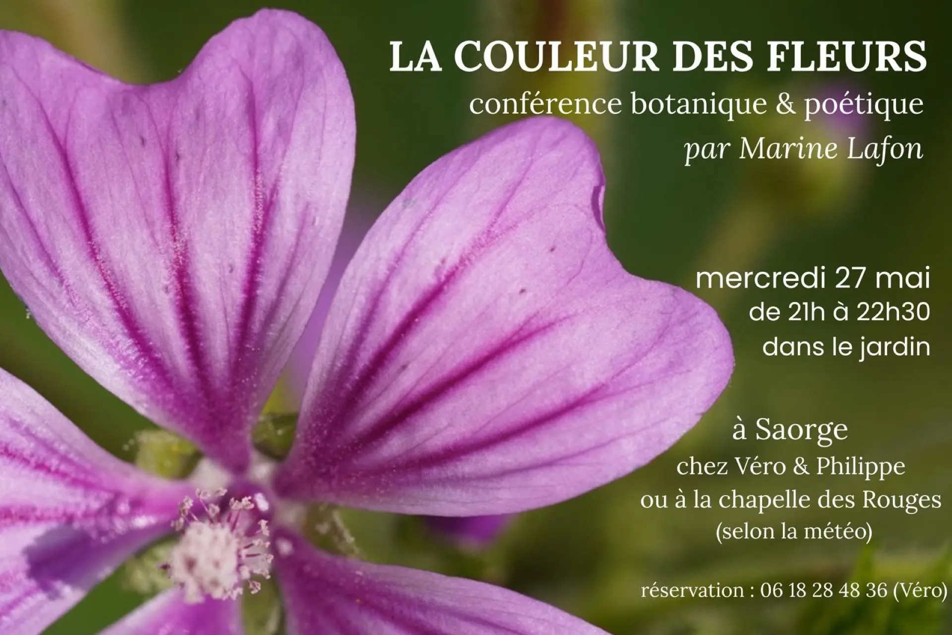 Conférence botanique et poétique : la couleur des fleurs