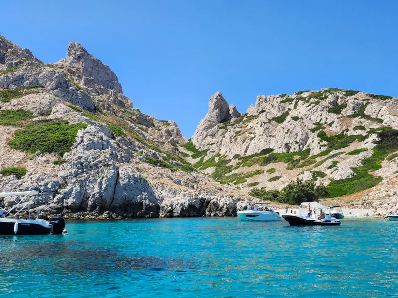 Sortie nature du Muséum : îles de Marseille