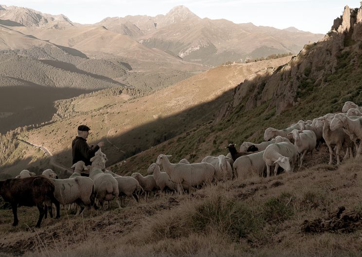 Exposition photographique « Pyrénéisme »
