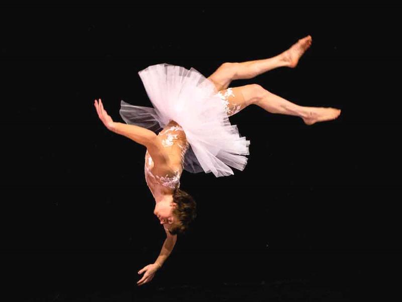 Spectacle - Le Lac des Cygnes