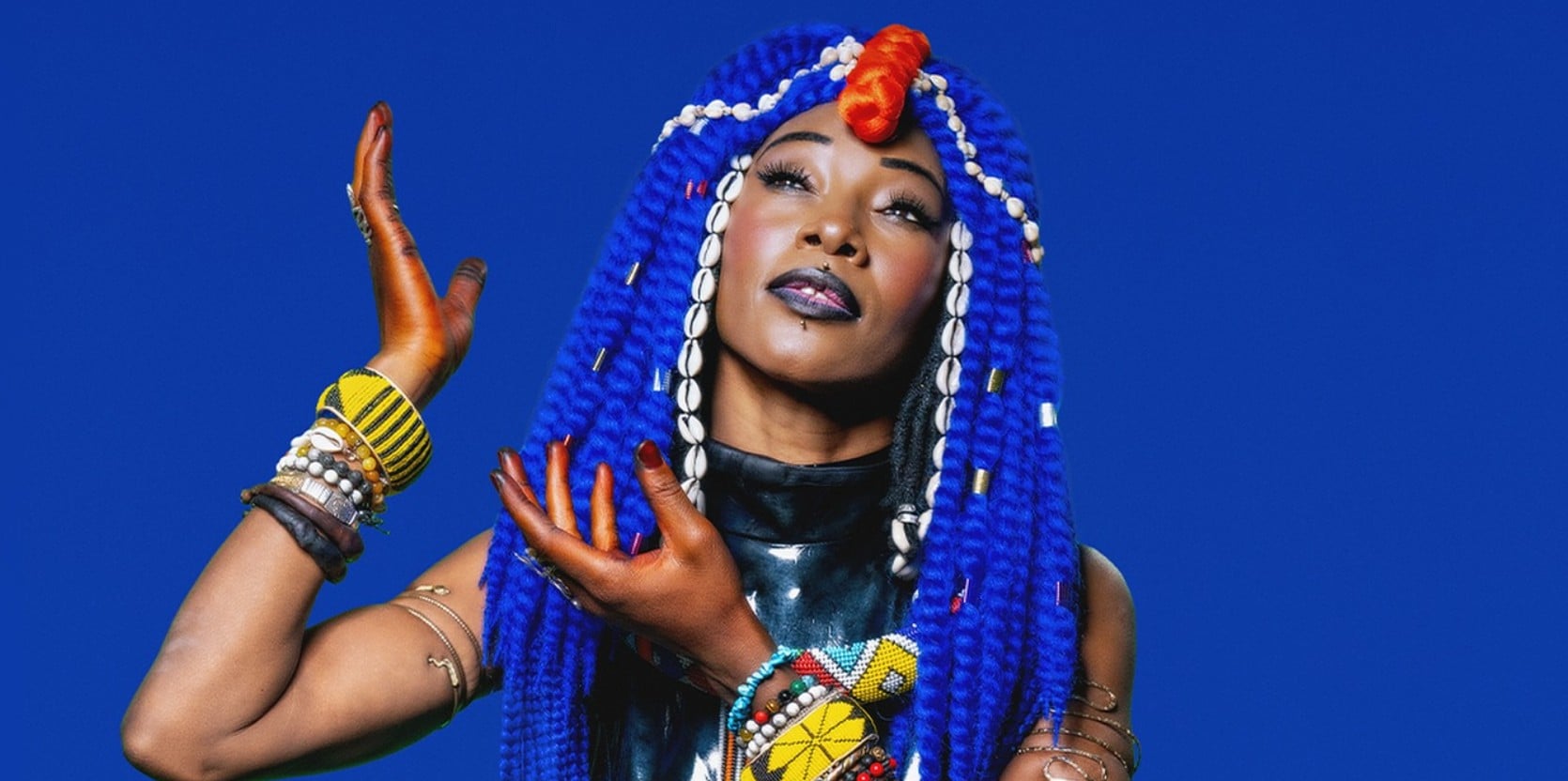 Fatoumata Diawara - Festival des Veyracomusies