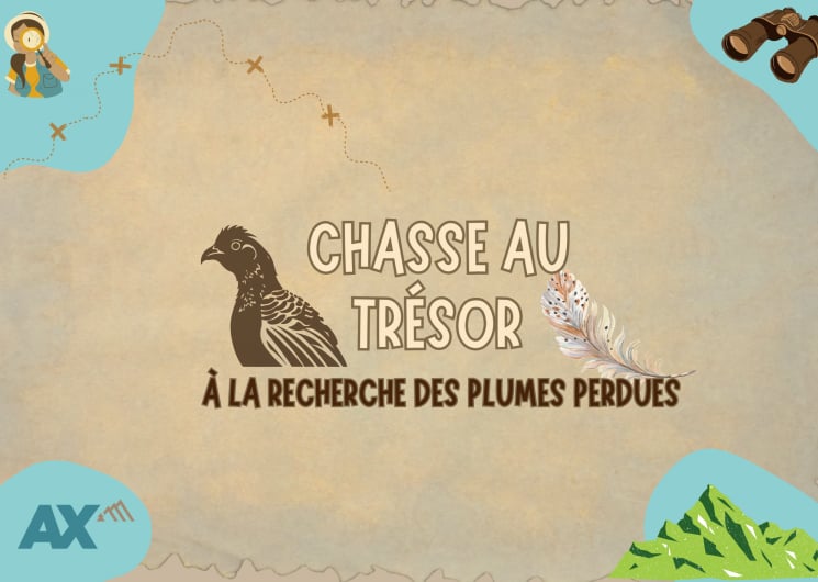 Chasse aux trésors