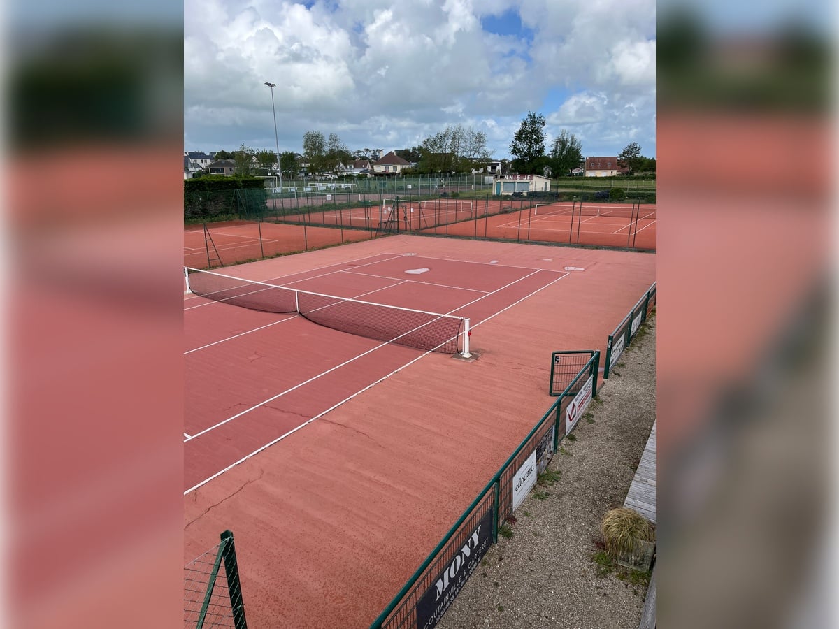 Tournoi de tennis : open des jeunes